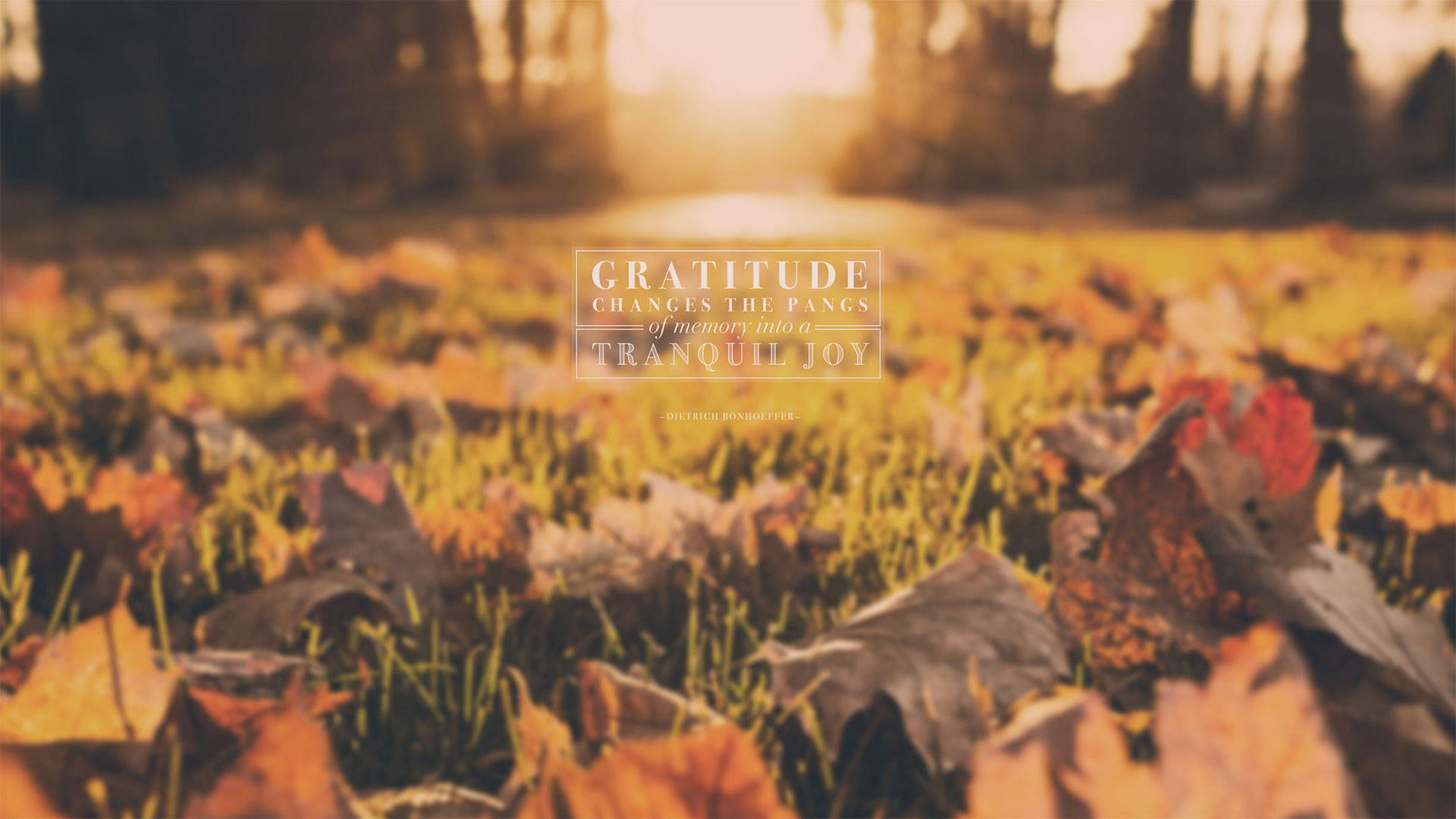 Wednesday Wallpaper: Gratitude Changes the Pangs of Memory - Jacob Abshire