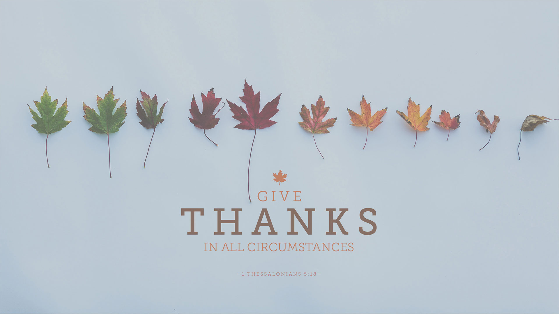 Wednesday Wallpaper: Give Thanks in All Circumstances - Jacob Abshire