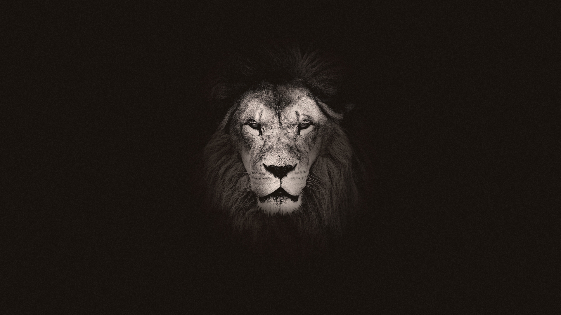 Wednesday Wallpaper: Our God is a Lion - Jacob Abshire