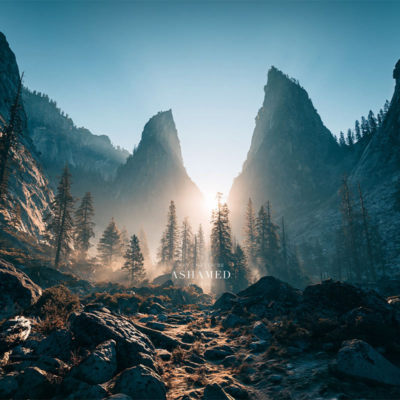 Valley of Vision: Ashamed - Image 4